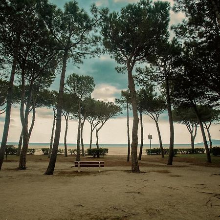 Appartement T2 Les Pieds Dans L'Eau A Argeles-Sur-Mer Exterior photo